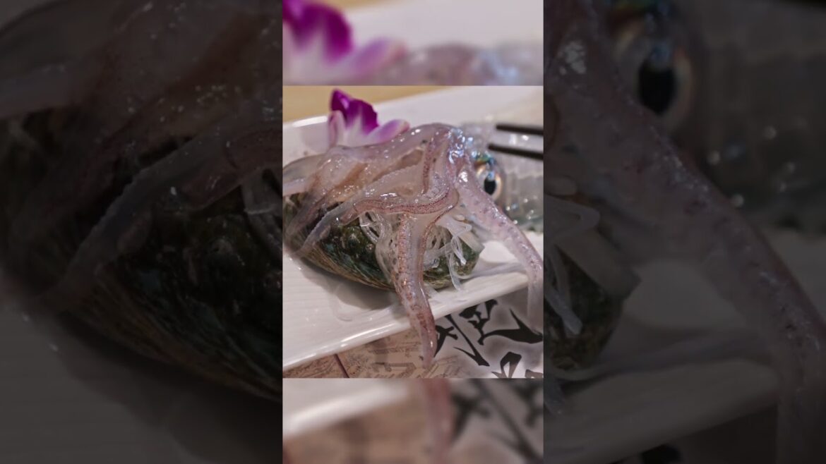 怒るイカ 躍動する活きイカ 活き造り #shorts