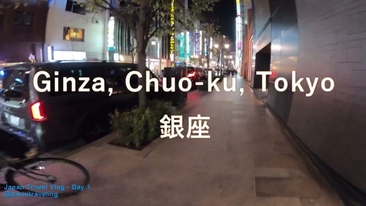 🇯🇵2022 日本自由行15日｜EP1｜From Houston to Tokyo 出发飞東京！｜Japan  Travel Vlog ｜日本旅遊Vlog