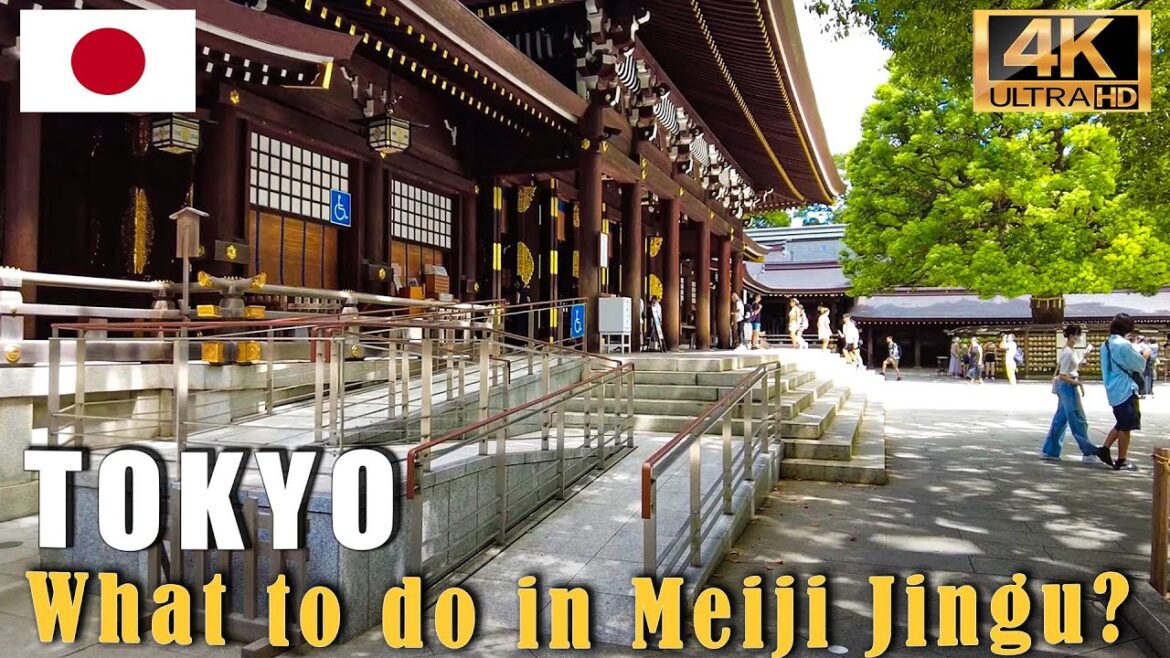 Tokyo's most spiritual MeijiJingu Shrine and Yoyogi Park - Walking in 4K