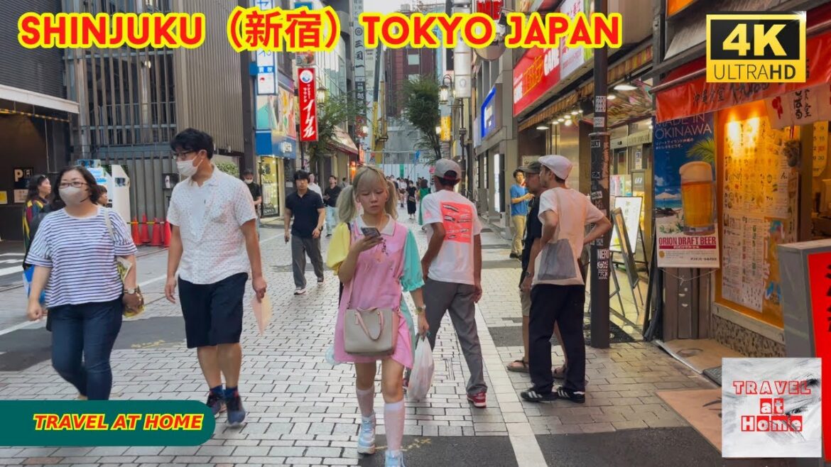4k hdr japan travel | Walk in Shinjuku(新宿)Tokyo Japan | Relaxing Natural City ambience 4k hdr japan travel | Walk in Shinjuku(新宿)Tokyo Japan | Relaxing Natural City ambience