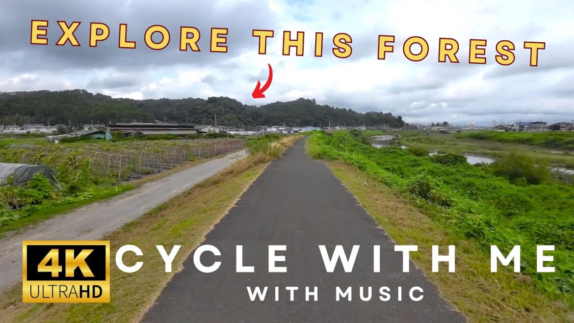 Cycle with me through a Japanese forest. Exploring Iwakiri Ryokuchi Park. with Ambient music.