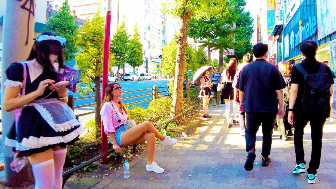 Akihabara in Tokyo 🐶🍻Welcome to the Moe Moe World♪💖4K ASMR Nonstop 1 hour 01 minutes Akihabara in Tokyo 🐶🍻Welcome to the Moe Moe World♪💖4K ASMR Nonstop 1 hour 01 minutes