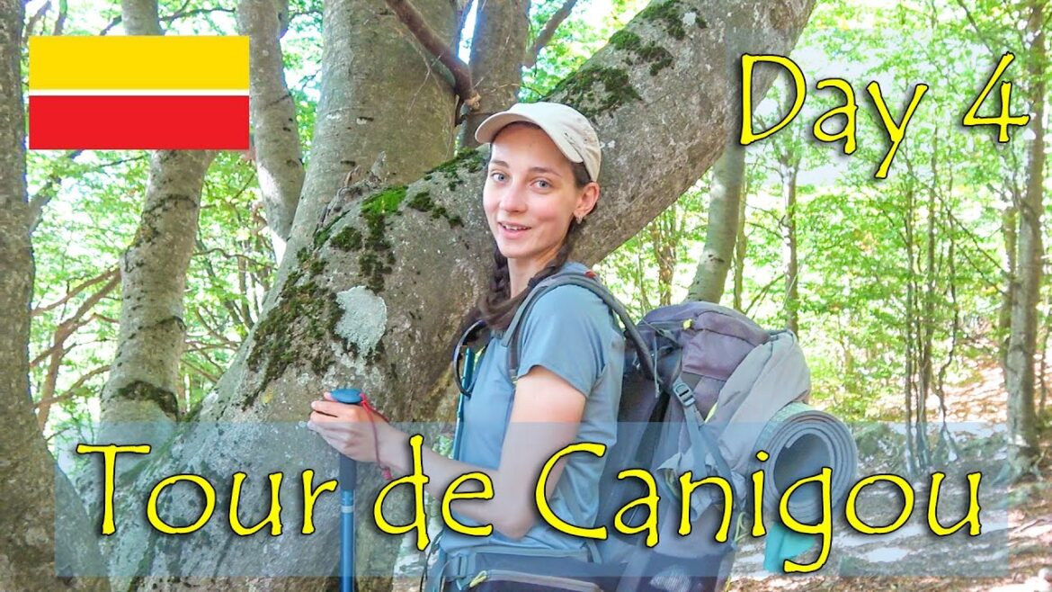 The most beautiful old beech forest on Tour du Canigou,Pyrenees-Orientales|Day 4-Refuge Sant Guillem