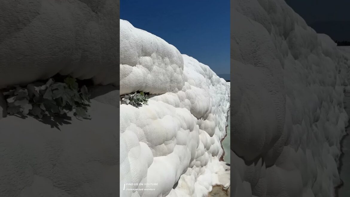 Double click if you like it❤️#shorts #trending #explore #travelvlog #traveling #relaxing #traveler