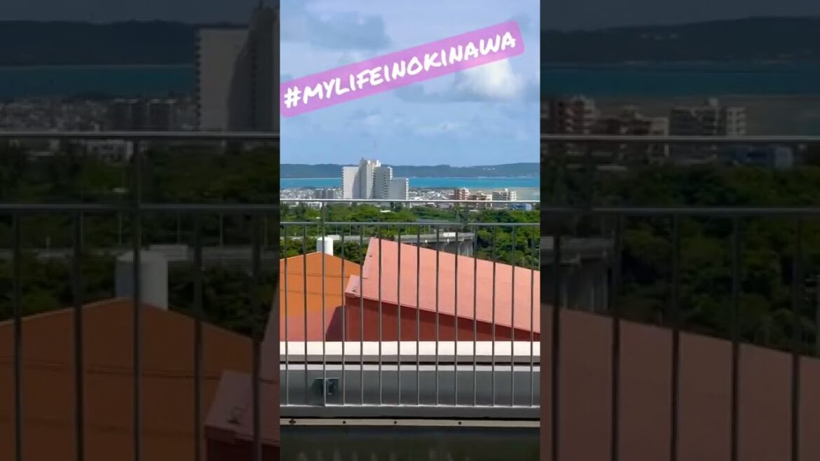 Japanese #mcdonalds #mcdonaldsjapan with a sick #oceanview #mylifeinokinawa #okinawa #消防車