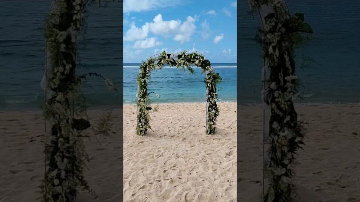 Beach walk | Beach wedding | destination wedding | Mauritius #shorts Beach walk | Beach wedding | destination wedding | Mauritius #shorts