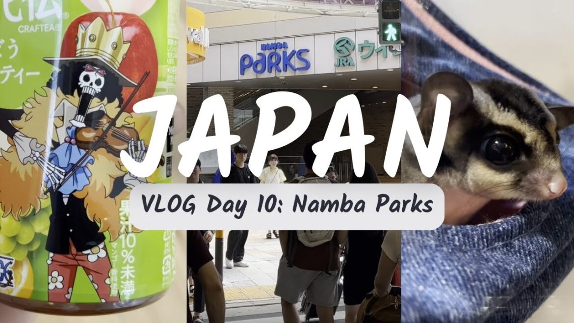 Japan Vacation VLOG: Day 10 - Osaka Namba Parks | Clothes Shopping | Vegan Food | Namco Arcade