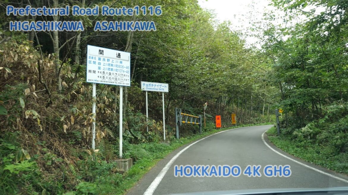 北海道道1116号富良野上川線 [ 東川町 旭川市 4K/60p GH6 車載動画 2023] ：チョボチナイゲート（忠別ダム天人峡旭岳線）～嶺雲橋～瑞穂ゲート