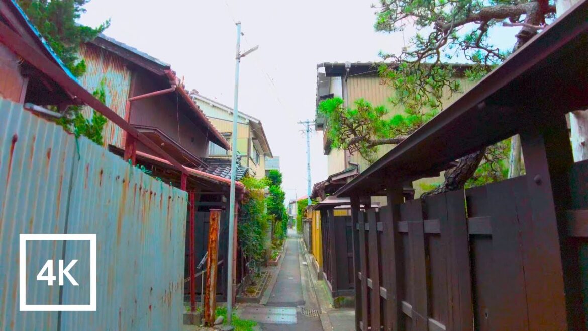 Japan 4K Walking Tour - Exploring the backstreets of Sukaguchi, A Quiet City Near Nagoya[4K/60fps]