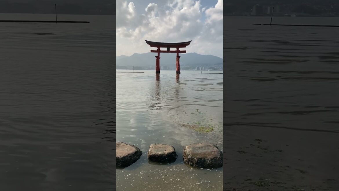Japan Miyajima walk part10 #shorts #japan