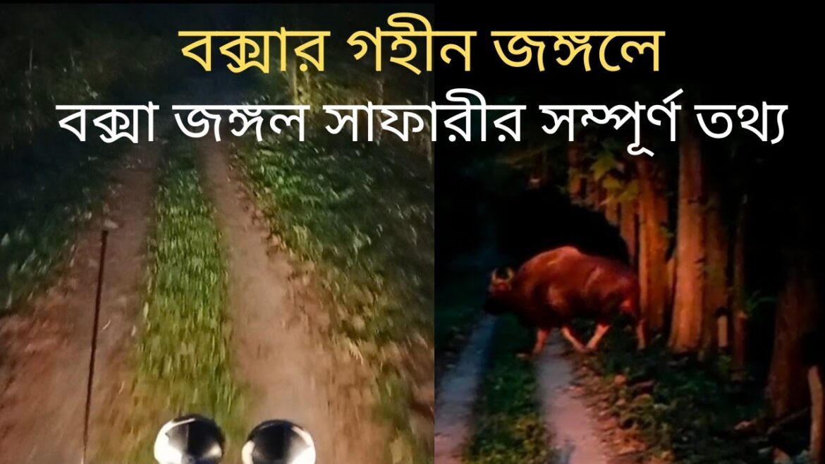 Buxa Jungle Safari Details|| Buxa Jayanti Tour|| Different Types of Buxa Safari|| বক্সা জঙ্গল সাফারী