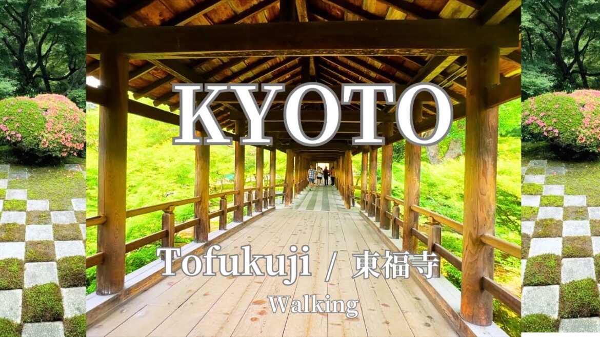 京都旅行 |  息をのむほど美しい東福寺ソロ散歩☘️ |女ひとり旅