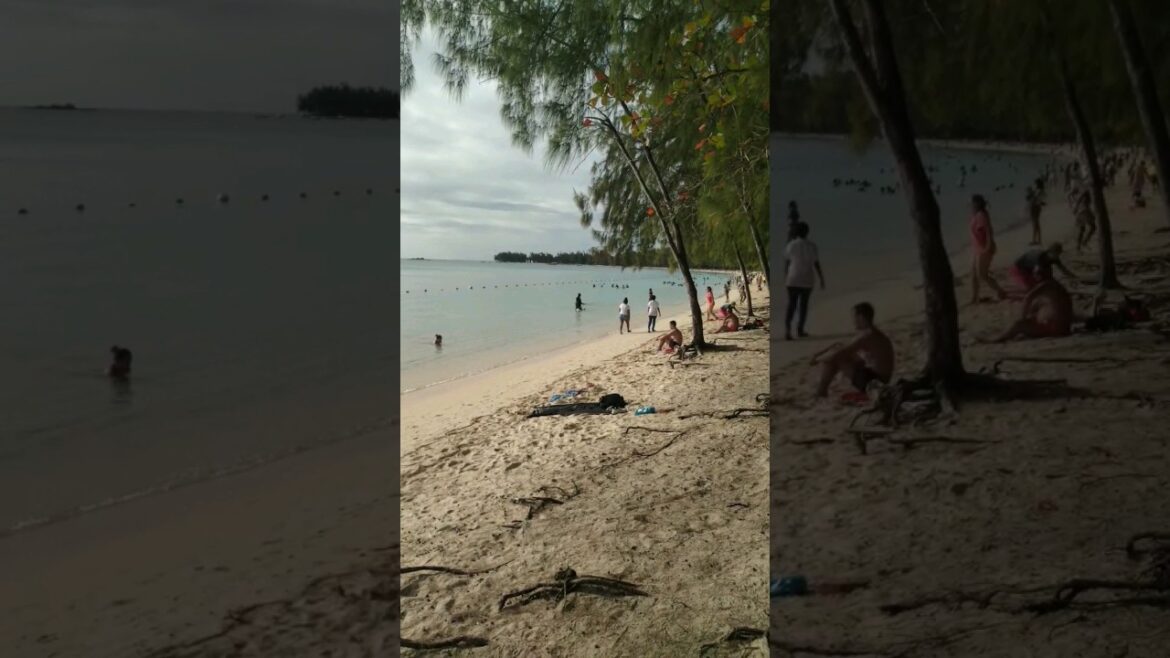 Sandy beach Mauritius #shorts #mauritius