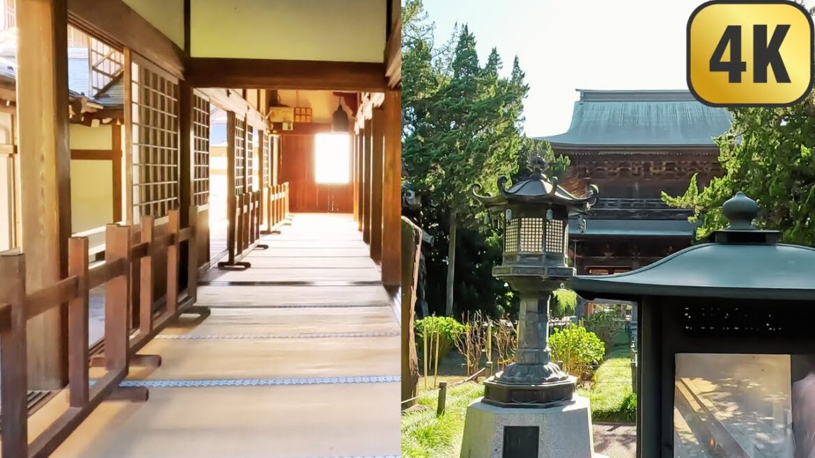 [4K] Kamakura, Japan Walk Road to Kencho-ji Gardens