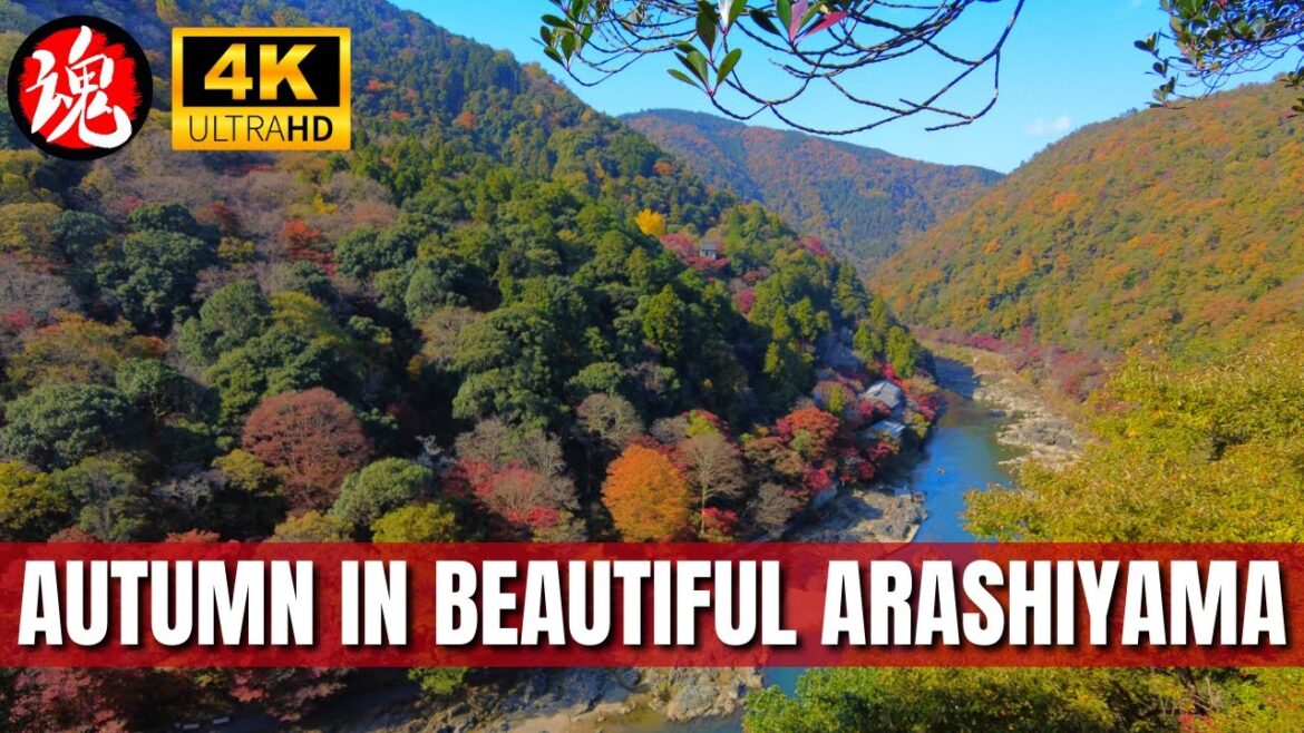 AUTUMN WALK IN ARASHIYAMA: JOJAKKO-JI TEMPLE | Spirit of Japan TV AUTUMN WALK IN ARASHIYAMA: JOJAKKO-JI TEMPLE | Spirit of Japan TV