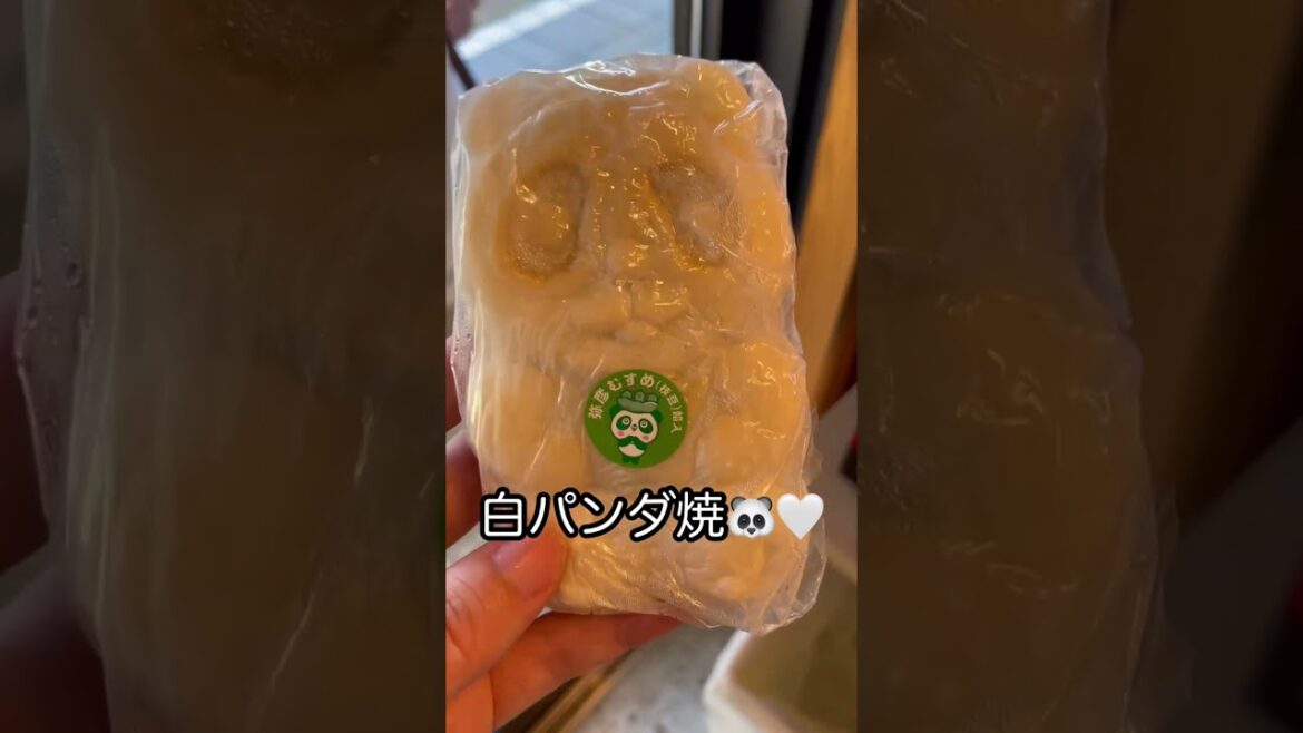魚介なしの新潟グルメ旅🐼　#shorts
