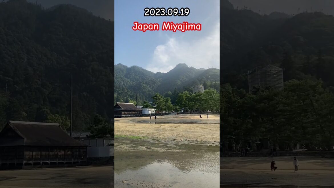 Japan Miyajima walk part12 #shorts #japan