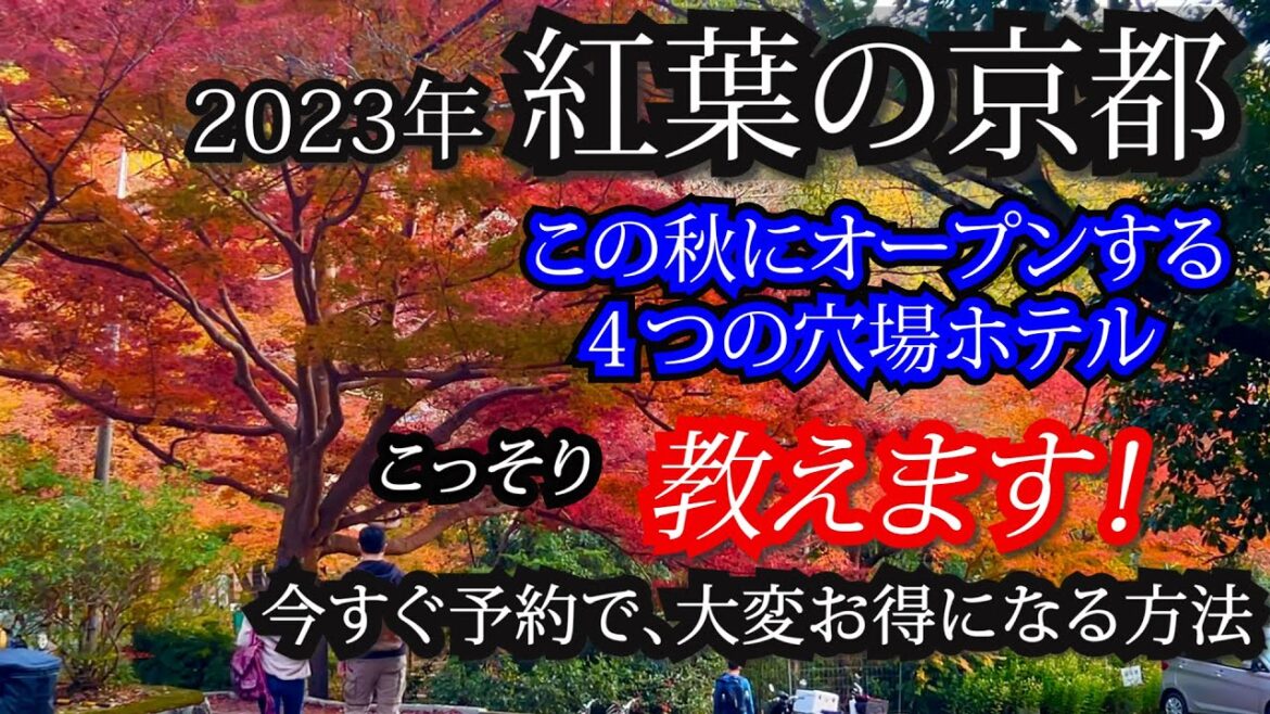 【必見】京都の4つの新穴場ホテルご紹介します♪お得に泊まる為に是非ご覧ください!デュシタニ京都、ロワジール京都東寺、INSOMNIA KYOTO OIKE、京都プラザホテル 【必見】京都の4つの新穴場ホテルご紹介します♪お得に泊まる為に是非ご覧ください!デュシタニ京都、ロワジール京都東寺、INSOMNIA KYOTO OIKE、京都プラザホテル