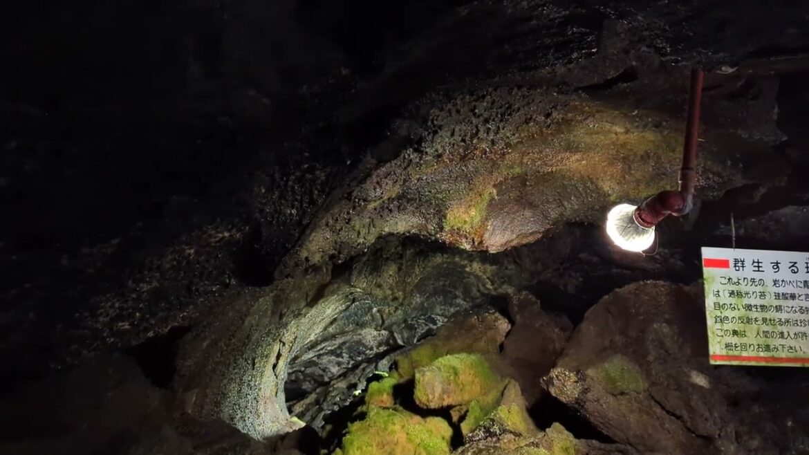 【富岳風穴】Alan Walker &日本Travel IN 【Fuji WIND Cave】｜Sightseeing Walker｜walks in富岳風穴 ｜富士山JAPAN風穴冰穴 ｜ ASMR