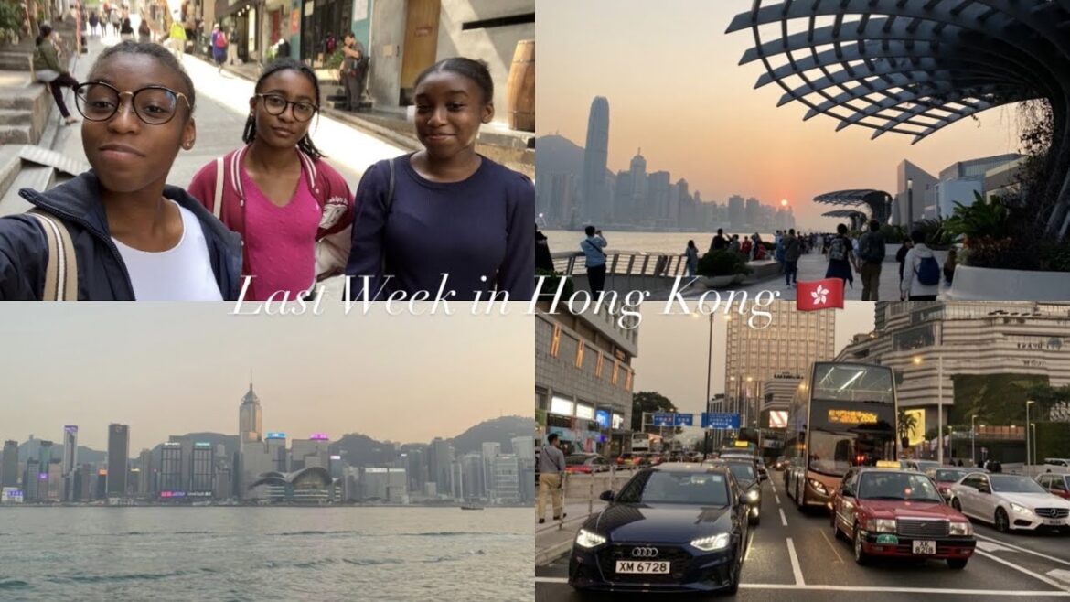 Hong Kong Vlog 🇭🇰 | part 3 : Dragon's Back, A Symphony of Lights, Museums ...