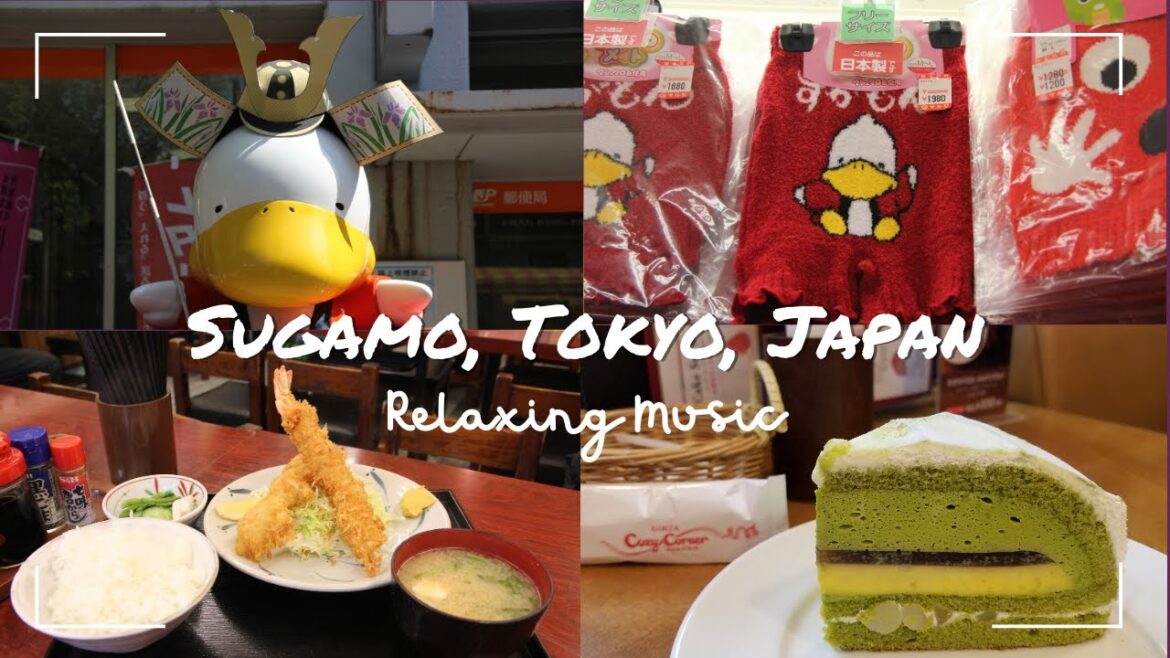 Relaxing Music with My Trip in Sugamo, Tokyo, Japan 我的日本之旅 - 東京巢鴨