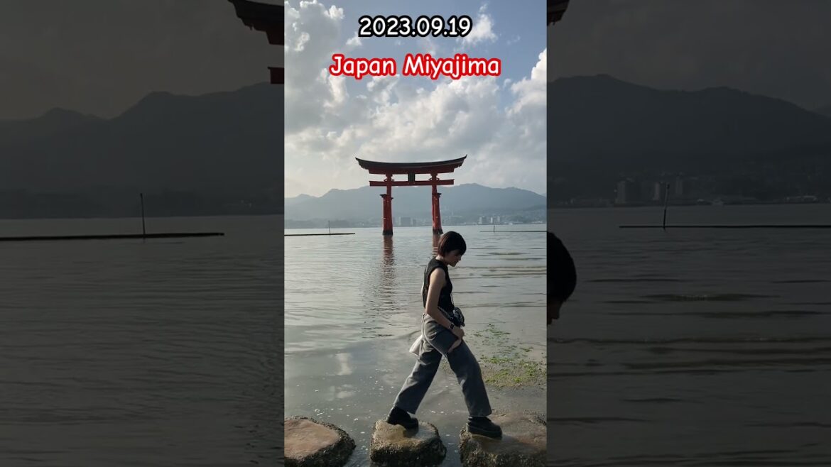 Japan Miyajima walk part11 #shorts #japan