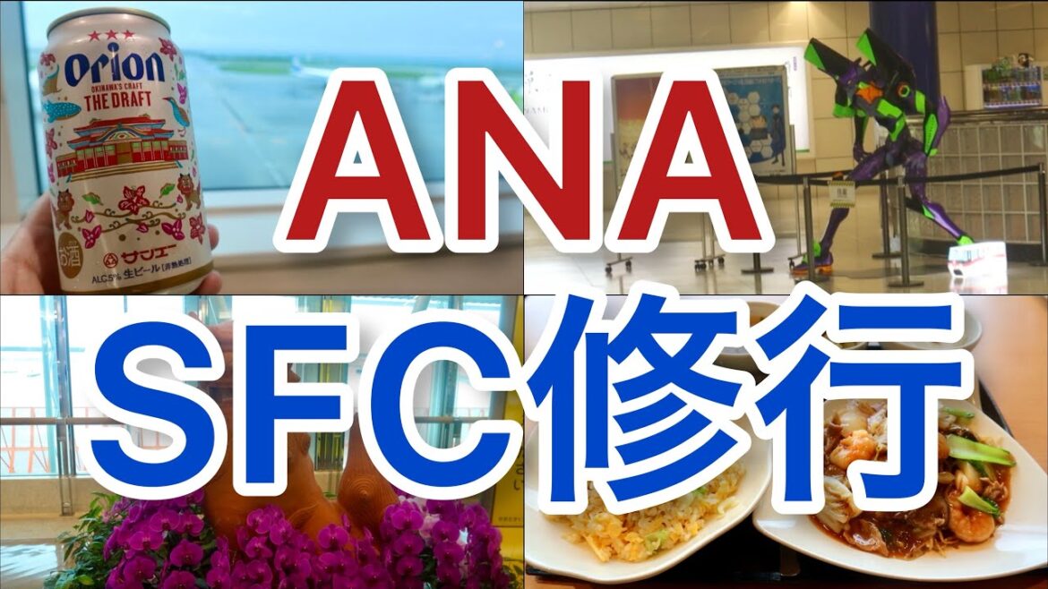 【SFC修行】空港 で生きる8日間！ANA 羽田空港「SFC修行7日目」全8日 airport