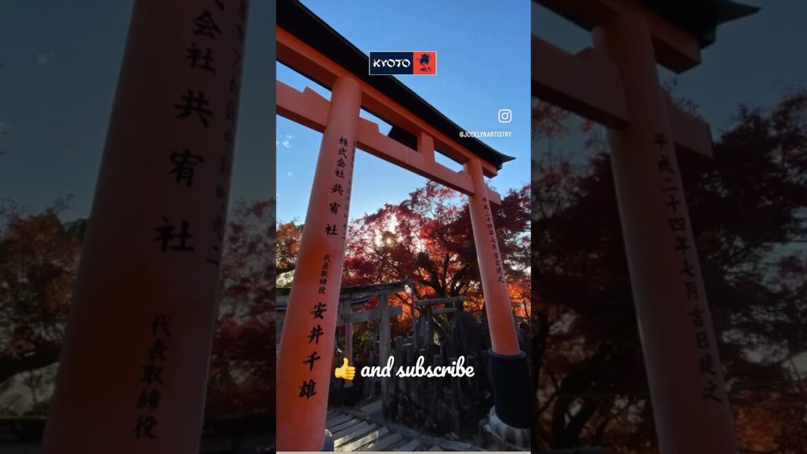 Inside Fushima Inari in #kyoto  #japantravel #japanvlog  #travel #shortsvideo