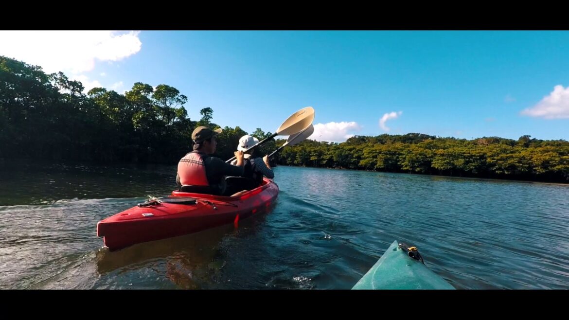 Iriomote Island _ Day trip to Pinaisara Falls tour