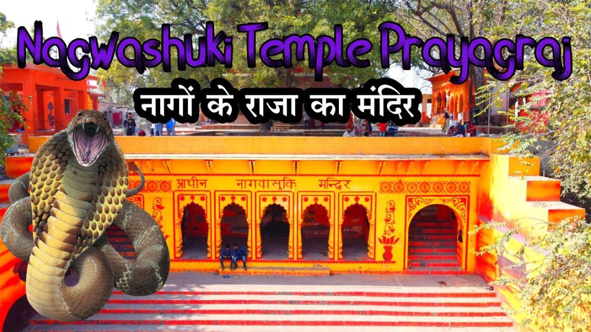 प्राचीन नागवासुकी मंदिर || Drone Video|| Prachin Nagvashuki Mandir Prayagraj || Nagvashuki Temple