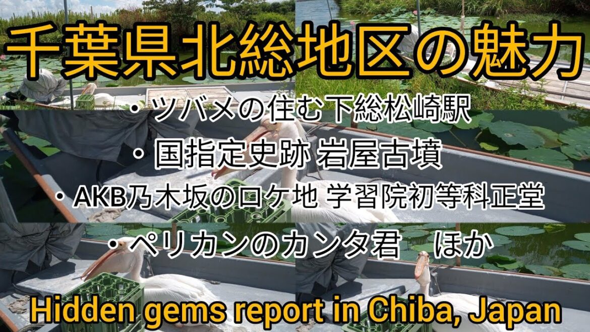 千葉県北総印旛沼周辺の魅力(Hidden gems report in Chiba, Japan) 千葉県北総印旛沼周辺の魅力(Hidden gems report in Chiba, Japan)