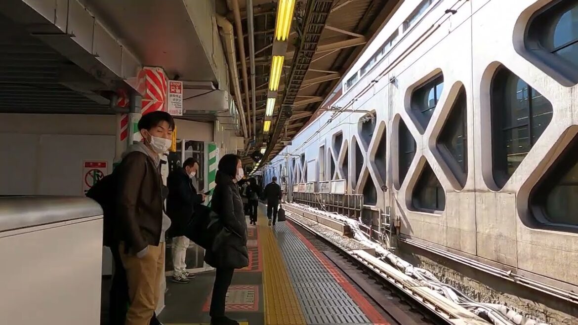 【JAPAN 4K】Walking at Shinjuku station【TOKYO 東京】 【JAPAN 4K】Walking at Shinjuku station【TOKYO 東京】