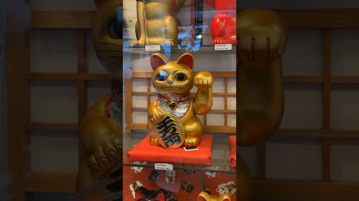 #tokyo #travel #summer #holiday #japan #mustgo #japantravel #japantrip #cat #cats #mustsee #tokyo #travel #summer #holiday #japan #mustgo #japantravel #japantrip #cat #cats #mustsee
