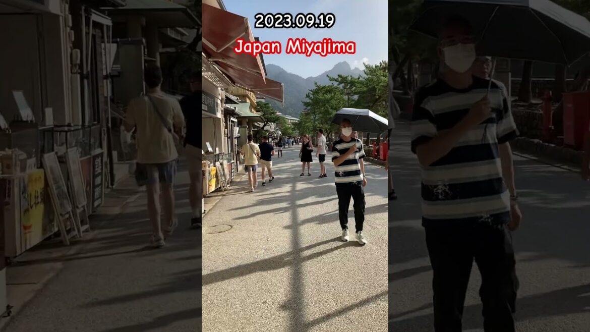 Japan Miyajima walk part01 #shorts #japan