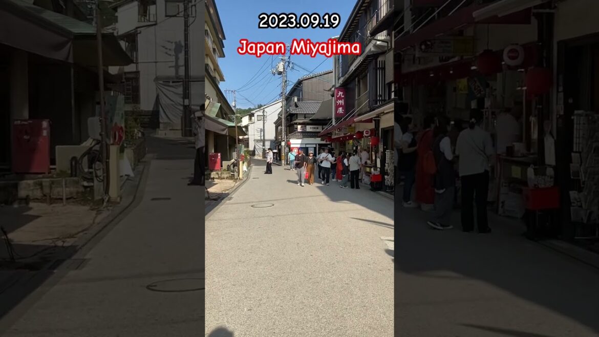 Japan Miyajima walk part03 #shorts #japan