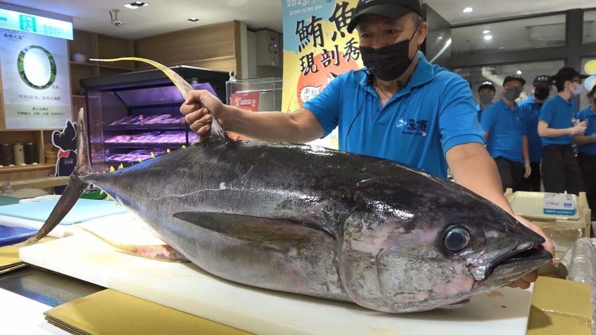 Filleting a Whole Tuna , Salmon for Sushi and Sashimi
