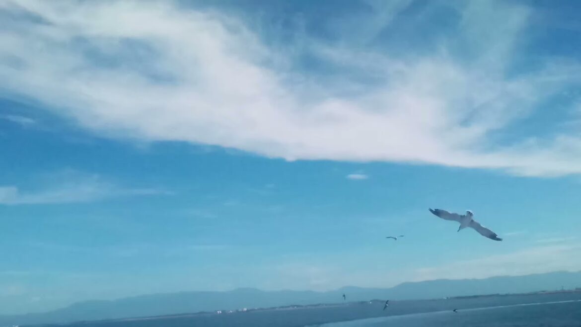 enjoying moment travel to sado