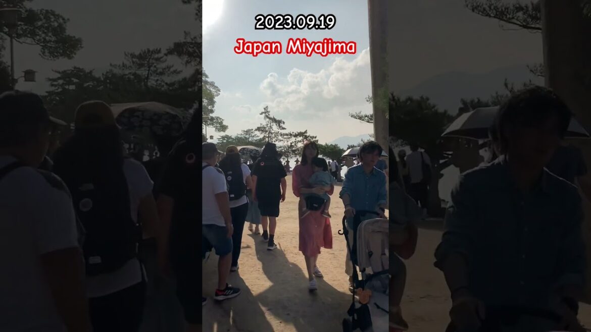 Japan Miyajima walk part07 #shorts #japan