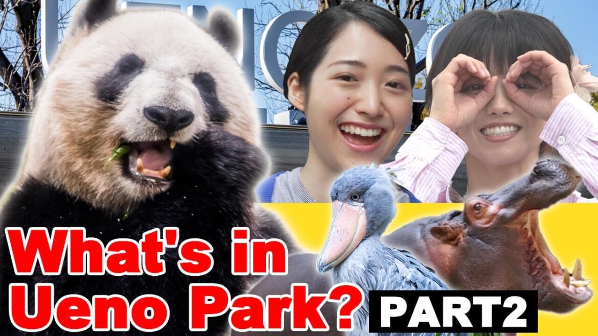 A popular spot in Japan! What’s in Ueno Park?【tokyo,ueno】 2/2 A popular spot in Japan! What's in Ueno Park?【tokyo,ueno】 2/2