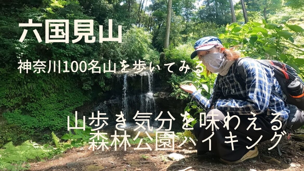 神奈川100名山【六国見山】お散歩感覚のハイキングコース 神奈川100名山【六国見山】お散歩感覚のハイキングコース