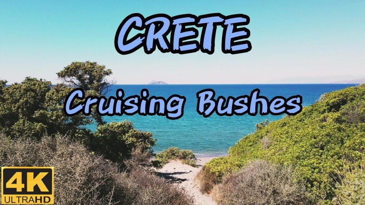 Crete cruising bushes on the Gay 🌈 and Naturist beach Kommos at the Ormos Mesara bay in Greece. Crete cruising bushes on the Gay 🌈 and Naturist beach Kommos at the Ormos Mesara bay in Greece.