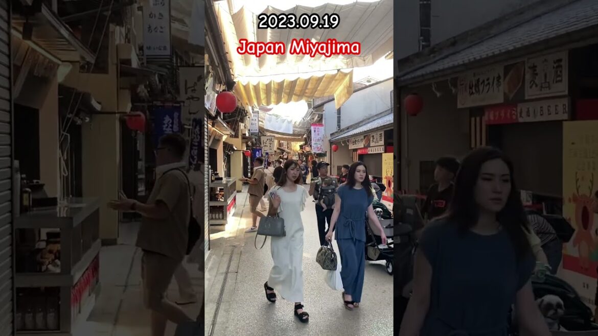 Japan Miyajima walk part06 #shorts #japan