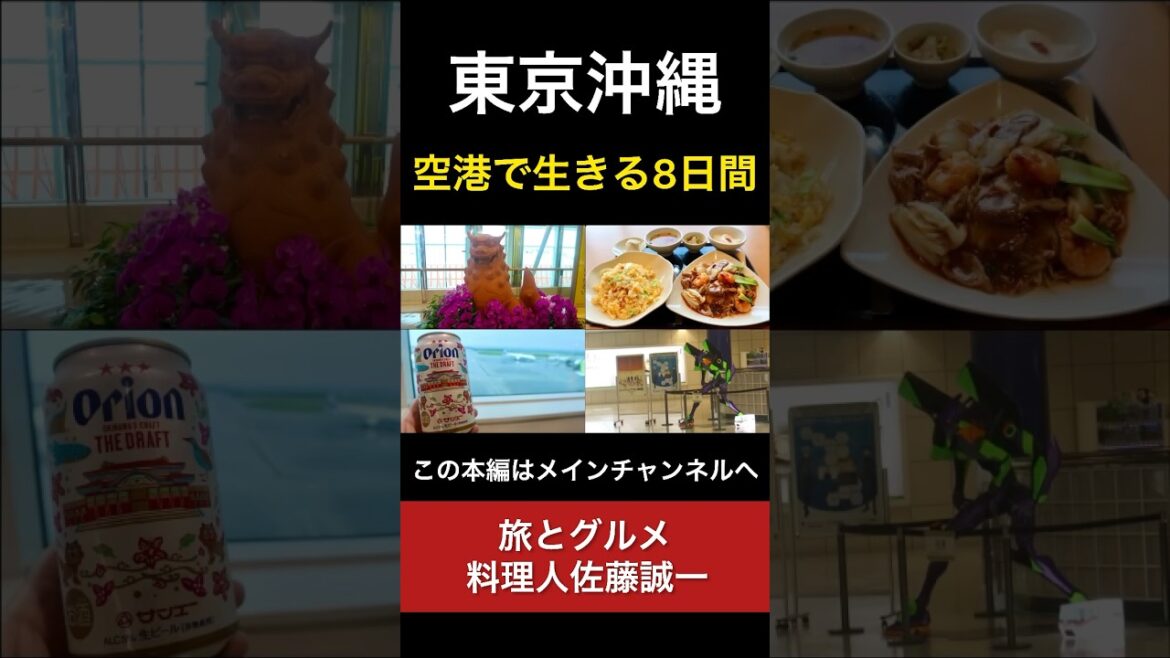 【SFC修行】空港 で生きる8日間！ANA 羽田空港「SFC修行7日目」全8日  #Shorts