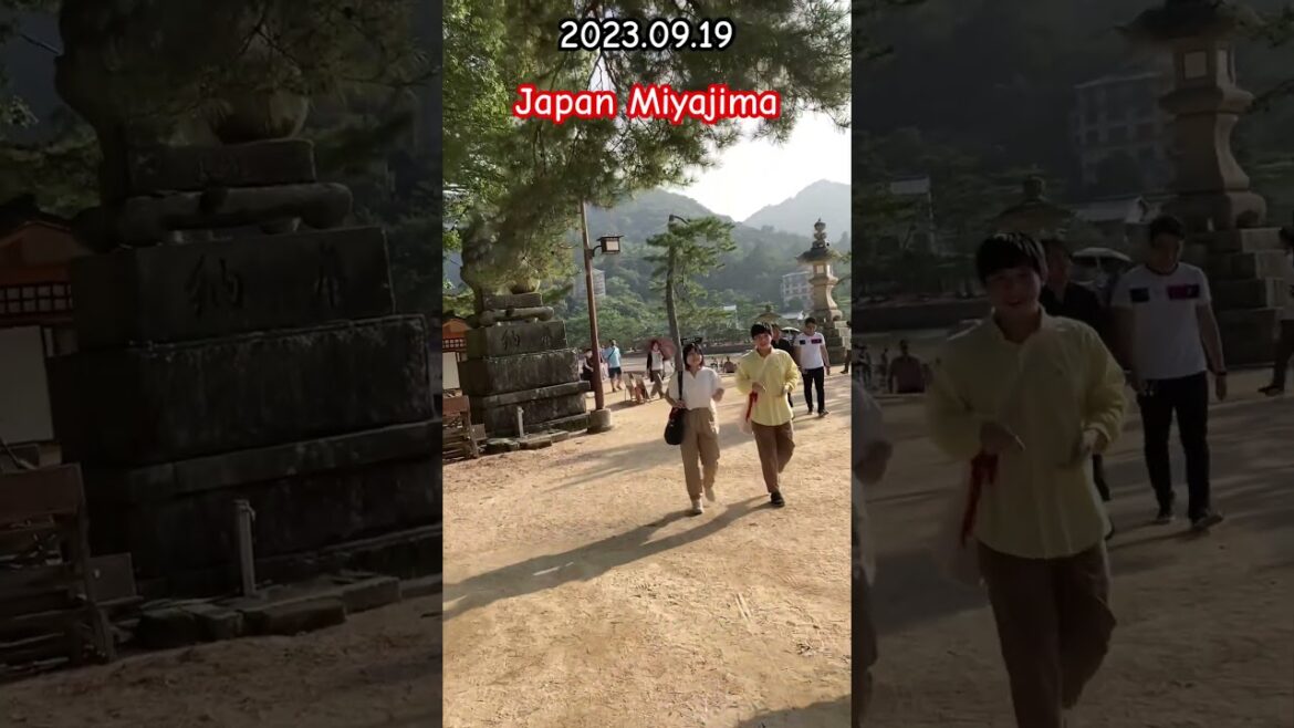 Japan Miyajima walk part09 #shorts #japan