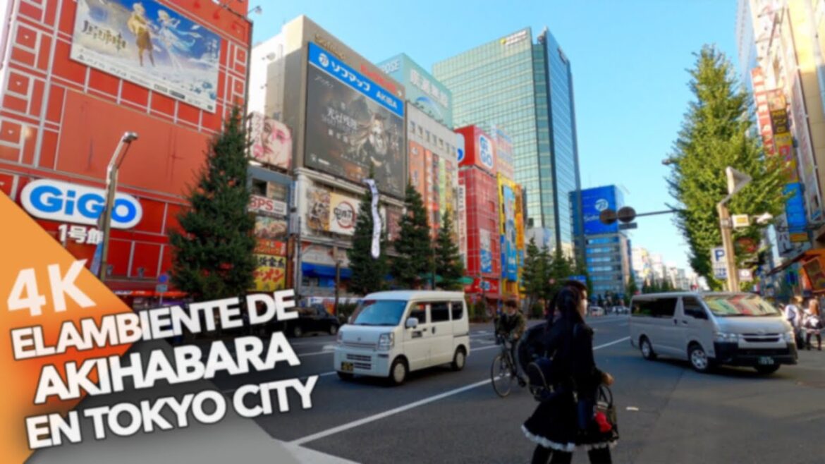 TOUR OSAKEÑO POR AKIHABARA! COMPARAMOS EL BARRIO FRIKI DE AKIHABARA CON EL DE OSAKA TOUR OSAKEÑO POR AKIHABARA! COMPARAMOS EL BARRIO FRIKI DE AKIHABARA CON EL DE OSAKA
