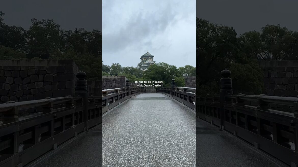 What To Do In Japan: visit Osaka Castle #japanvlog #japantrip #japantravel