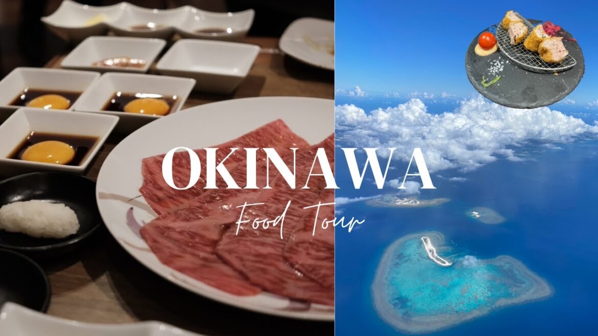 沖繩7家好吃的!火龍果可麗露、苦瓜天婦羅、波羅豬、塔可飯🌮️、 和牛燒肉 | Okinawa Food Tour 沖繩7家好吃的!火龍果可麗露、苦瓜天婦羅、波羅豬、塔可飯🌮️、 和牛燒肉 | Okinawa Food Tour