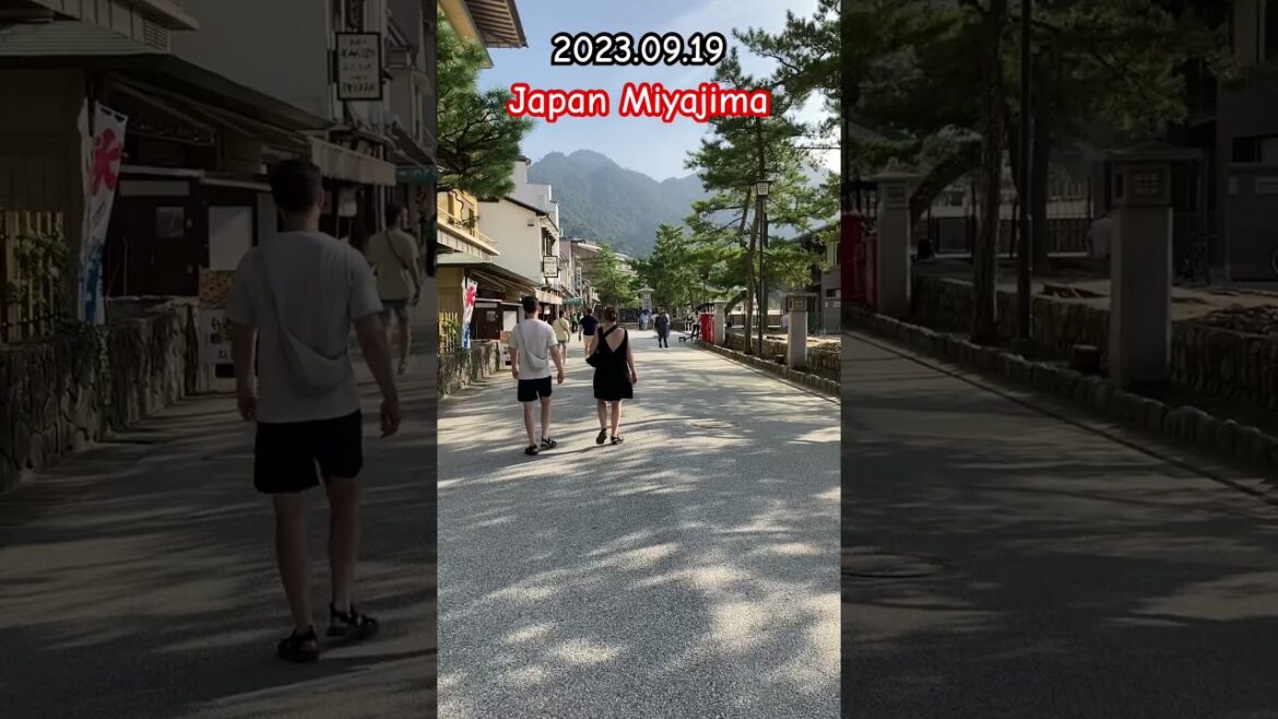 Japan Miyajima walk part02 #shorts #japan