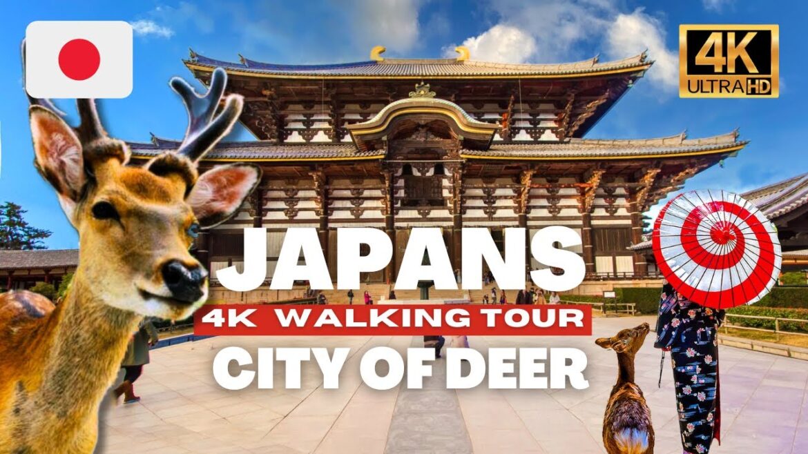 🇯🇵 Japan Walking Tour - Visit Nara Deer Park - Feed the Sacred Deer [ 4K HDR - 60fps ]