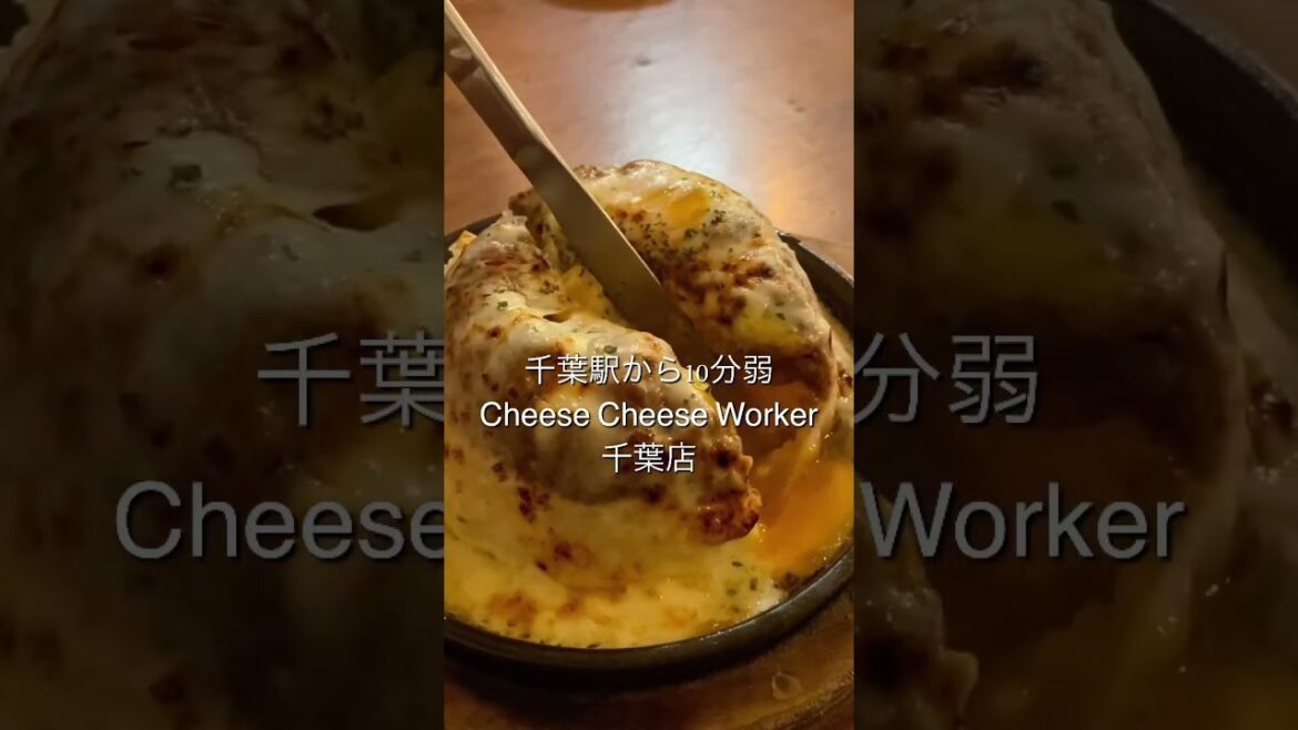 チーズ好きにはたまらないおすすめのお店！おしゃれ空間🧀 #cheesecheeseworker#cheese#千葉グルメ